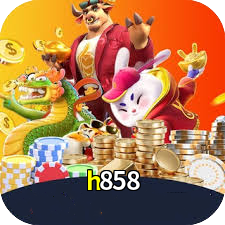 h858