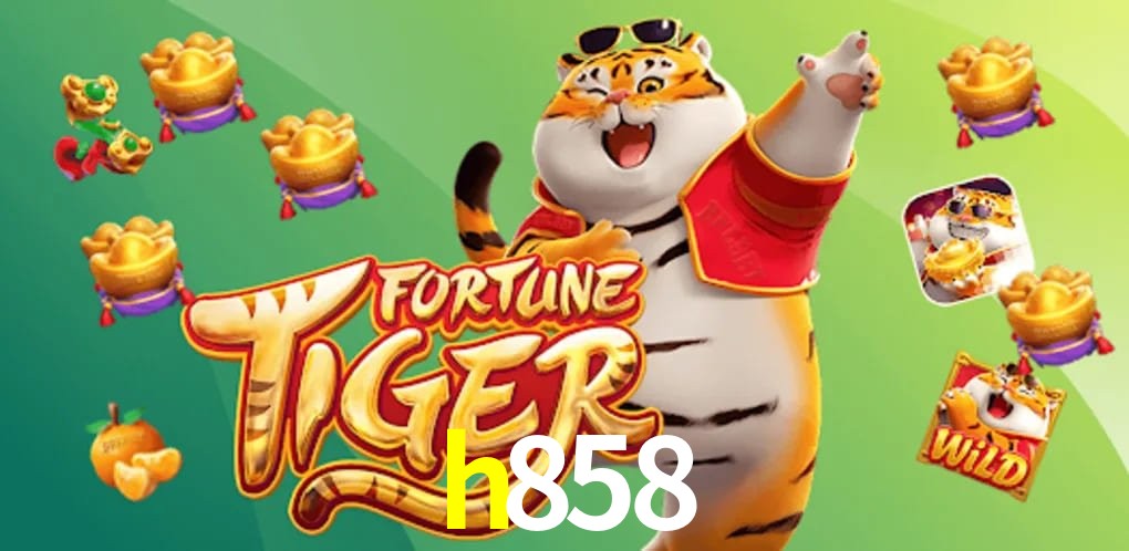 Player Reviews h858