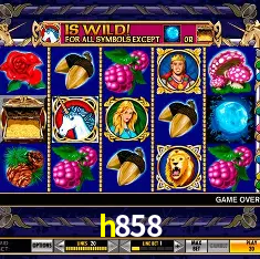 API Integration h858